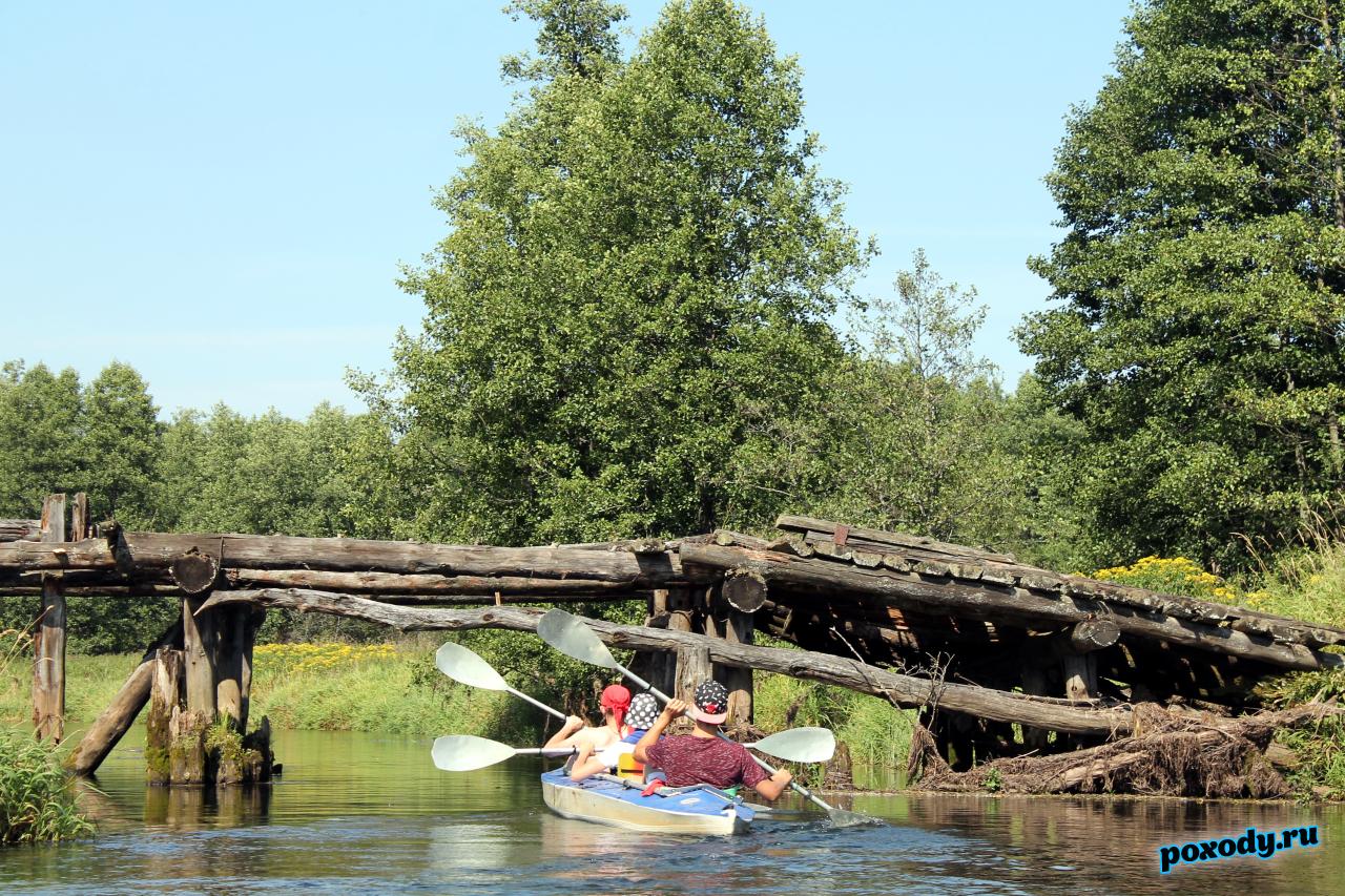 Байдарка проплывает под мостом