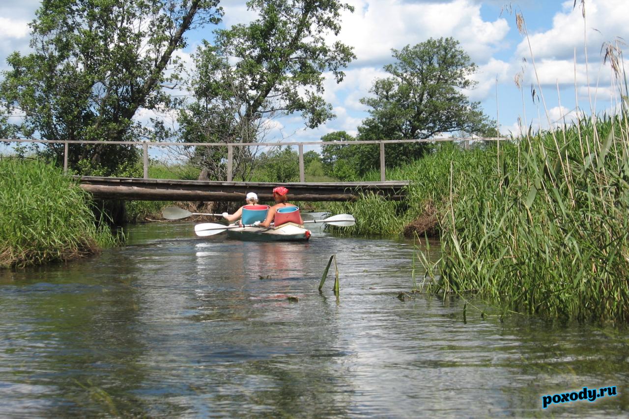 Байдарки плывет по реке