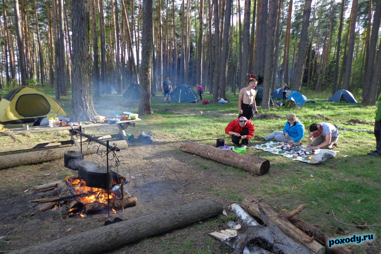 Палаточный лагерь в лесу рядом с рекой
