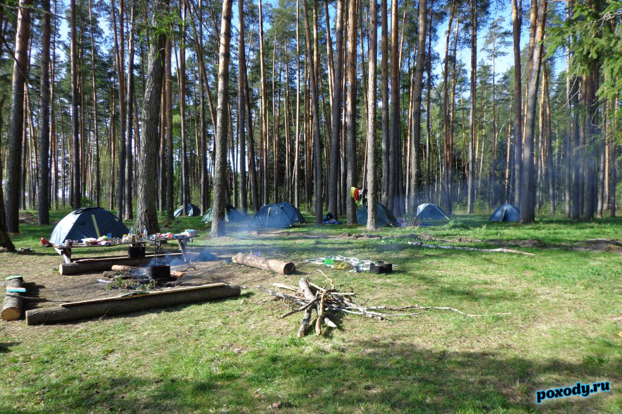 После веломаршрута разбиваем палаточный лагерь в лесах Подмосковья.
