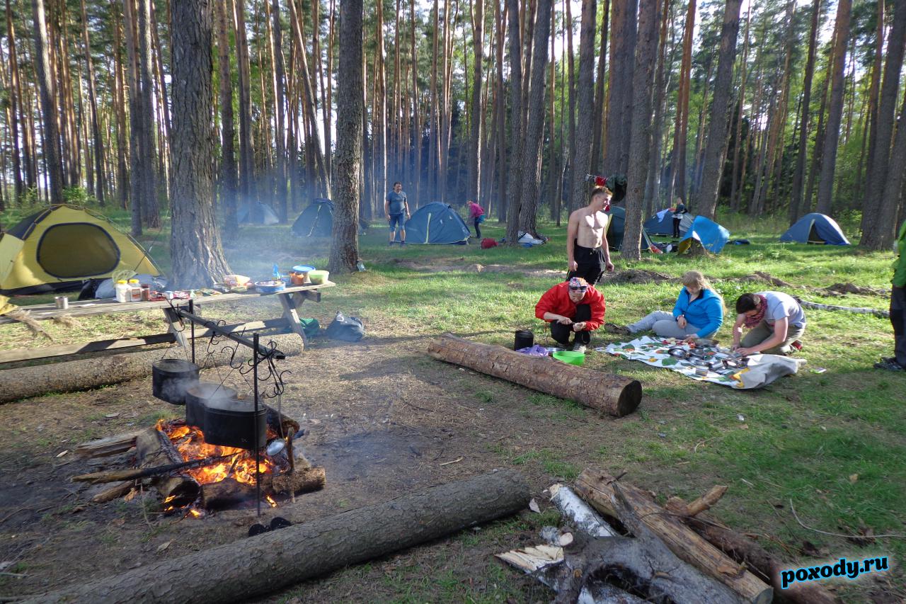 В походе выходного дня разбиваем лагерь в лесу для ночевки. 