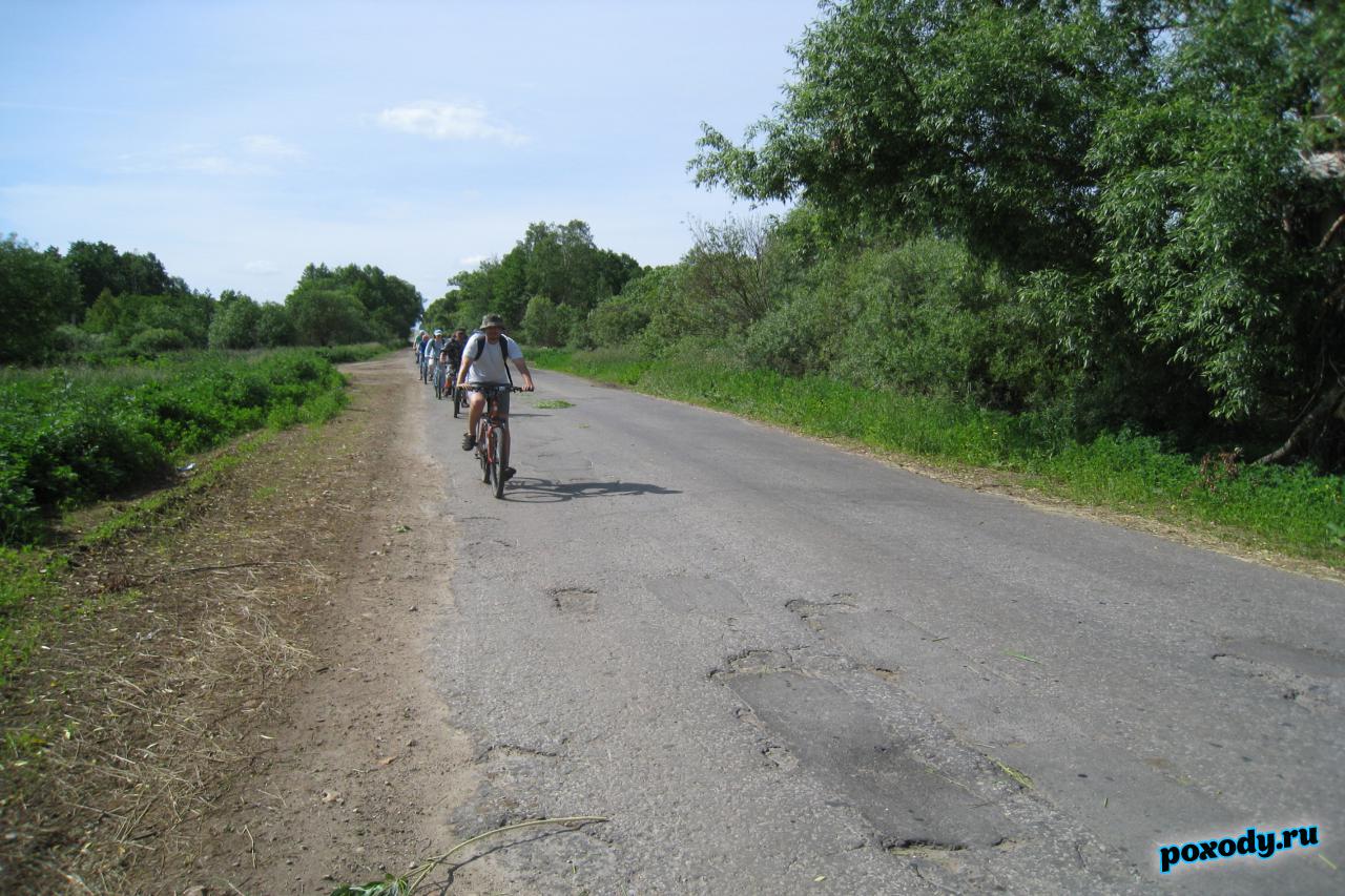 Велосипедисты едут по дорогам Подмосковья