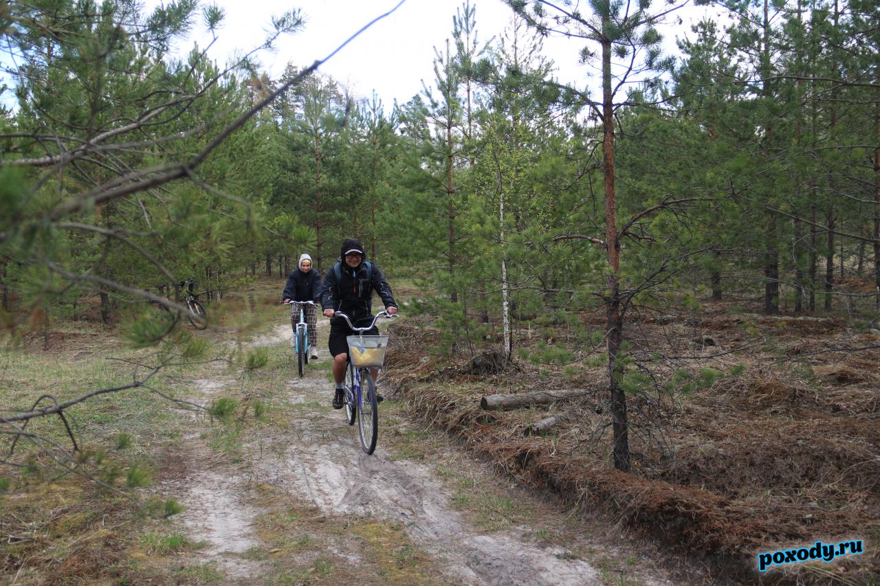 Велосипедисты едут на лесной дороге от деревни Жуковка до замка Храповицкого