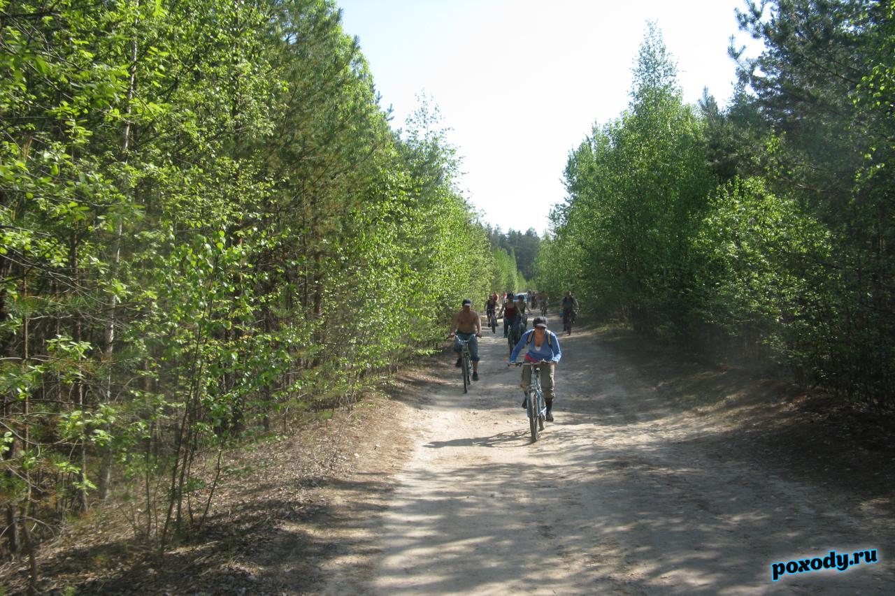 Велотур выходного дня по лесным дорогам